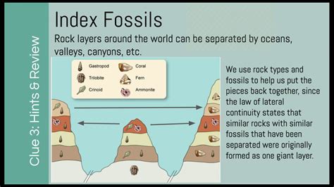 is a shark a good index fossil.